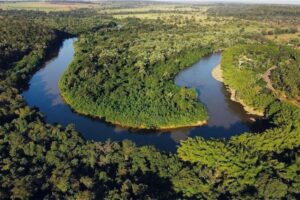 Nasce o Observatório pelo Ambiente: “a tecnologia deve sustentar a paz”
