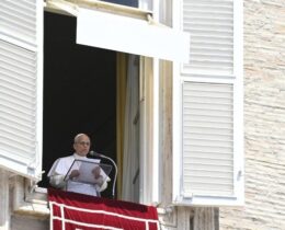 Papa na Semana Laudato si': cuidar da paz é cuidar da vida