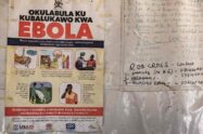 Ebola: a OMS declara emergência de saúde pública internacional entre a RD do Congo e Uganda