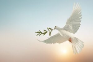 Paz mundial, Igreja e a urgência de desarmar o coração