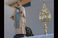 Papa recorda a beatificação de padre Nazareno Lanciotti, no Brasil