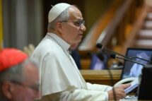 Fraternidade humana e resistência antropológica à luz da Magnifica humanitas