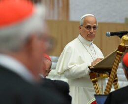 Papa aos cardeais: “Preciso do apoio de vocês”. Peço franqueza e lealdade