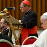 Cardeal Ryś: a violência é um termo comum no mundo de hoje; que a Igreja cure as feridas do homem