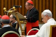 Cardeal Ryś: a violência é um termo comum no mundo de hoje; que a Igreja cure as feridas do homem