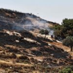 Cisjordânia, o pároco de Taybeh: “Preservar a presença cristã”