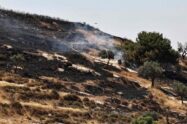 Cisjordânia, o pároco de Taybeh: “Preservar a presença cristã”