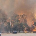 Emergência de incêndios na Itália: relatório aponta falta de prevenção e negligência