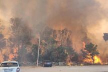Emergência de incêndios na Itália: relatório aponta falta de prevenção e negligência