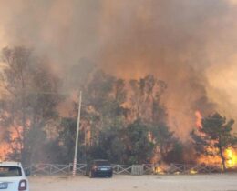 Emergência de incêndios na Itália: relatório aponta falta de prevenção e negligência