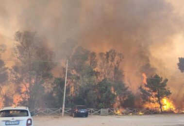 Emergência de incêndios na Itália: relatório aponta falta de prevenção e negligência