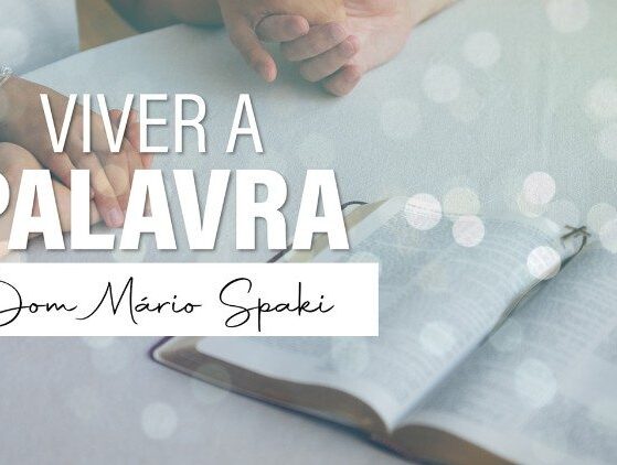 Evangelho de 20 de julho