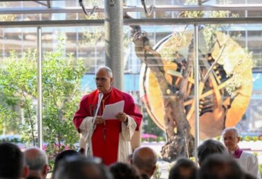 Papa entregará em outubro a primeira “Medalha Leão XIV para a Sustentabilidade”