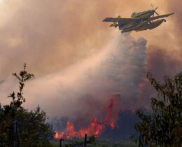 Incêndios na Europa: a resposta da Igreja na Espanha aos 325 mil desabrigados