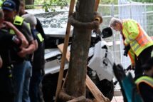 Van atropela uma multidão em Berlim. Arcebispo Koch: não ao ódio