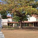 Viagem missionária a Moçambique e Angola