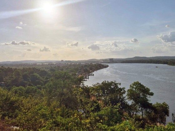 Amazônia, recorde positivo: área queimada atinge o menor nível desde 1985