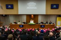 Magnifica humanitas e a customização da fé