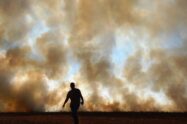 Desertificação e degradação do solo na pauta da COP17, na Mongólia