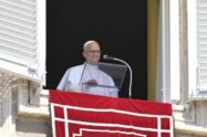 Papa no Angelus: quem é Jesus para você?