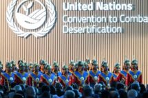 COP 17: o dom da fé em Jesus e o cuidado com a criação