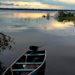 Redes latino-americanas divulgam documento sobre Clima e Casa Comum