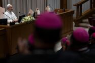 Papa: tantas vozes reivindicam autoridade sobre fiéis, o bispo dê ensinamento claro