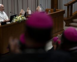 Papa: tantas vozes reivindicam autoridade sobre fiéis, o bispo dê ensinamento claro
