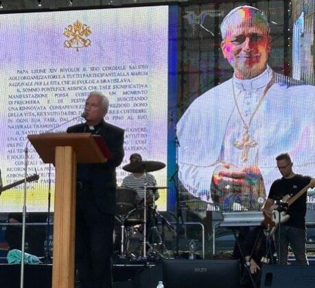 O Papa: acolher e proteger a vida desde a concepção até o fim natural